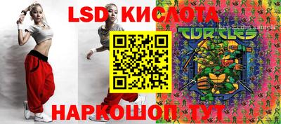 прущие грибы Шебекино