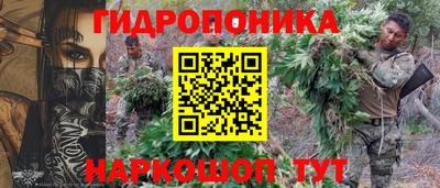 СК Чапаевск