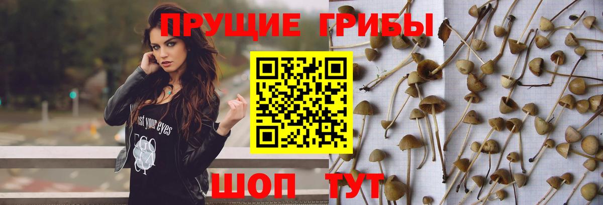 Благовещенск  Галлюциногенные грибы мухоморы  Вход с VPN 